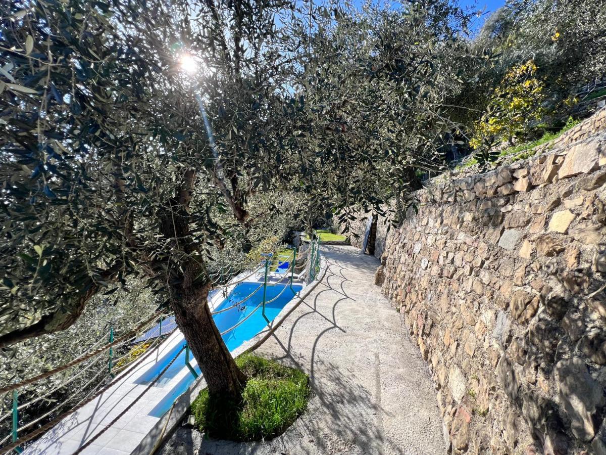Villa Di Campagna Con Vista Mare 5 Camere Da Letto Pampara Exterior foto